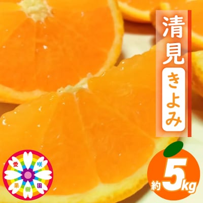 愛咲果樹園 「 清見 」約5kg【C71-14】
