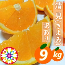 愛咲果樹園 「 清見 」 訳あり 約9kg【C71-15】 | ふるさと納税のお礼品
