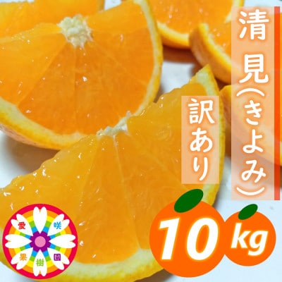 愛咲果樹園 「 清見 」 訳あり 約10kg【C71-15】