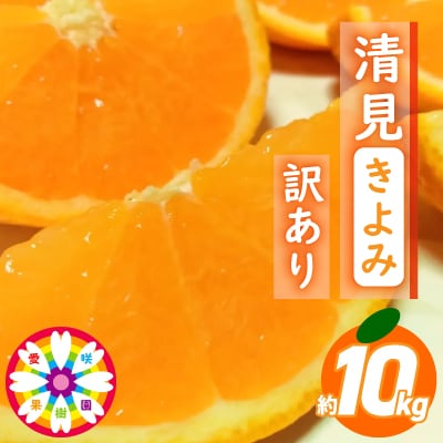 愛咲果樹園 「 清見 」 訳あり 約10kg【C71-15】