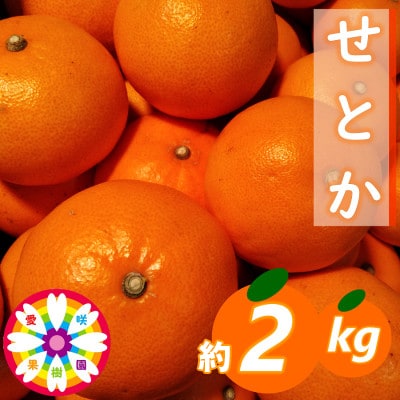 愛咲果樹園「せとか」約2kg【C71-22】