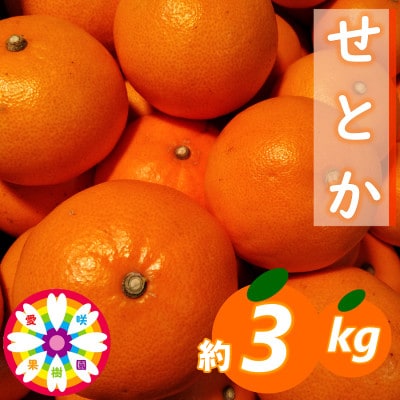 愛咲果樹園「せとか」約3kg【D71-23】