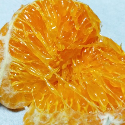 愛咲果樹園 「 甘平 」約3kg【D71-28】