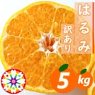 愛咲果樹園「はるみ」訳あり約5kg【C71-30】