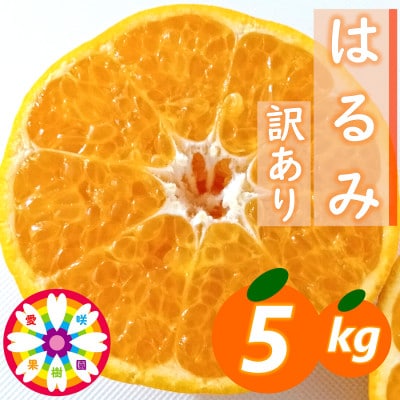 愛咲果樹園「はるみ」訳あり約5kg【C71-30】