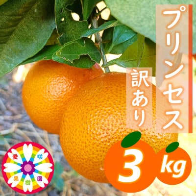 愛咲果樹園「プリンセス(愛果48号)」 紅プリンセスと同品種 訳あり 約3kg【C71-35】