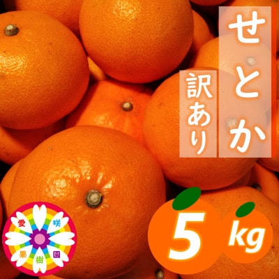 愛咲果樹園「せとか」訳あり約5kg【C71-38】