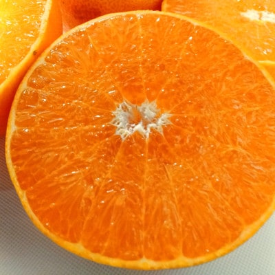 愛咲果樹園「せとか」訳あり約5kg【C71-38】