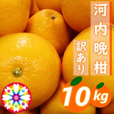 愛咲果樹園「河内晩柑」訳あり約10kg【C71-42】
