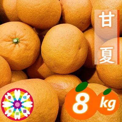 愛咲果樹園「甘夏」約8kg【C71-41】