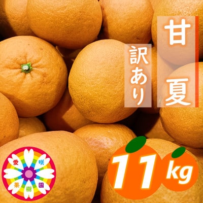 愛咲果樹園「甘夏」訳あり約11kg【C71-39】