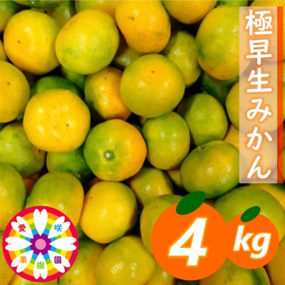 「 極早生 みかん 」約4kg《 愛咲果樹園 》【71-56】
