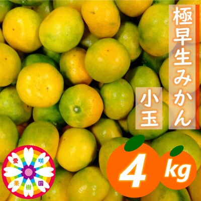 「 極早生 みかん 」 小玉 約4kg《 愛咲果樹園 》【71-55】
