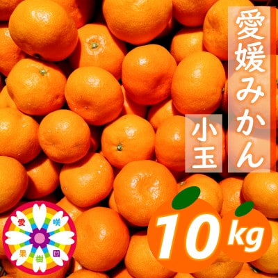 「 愛媛 みかん 」 小玉 約10kg《 愛咲果樹園 》【71-69】