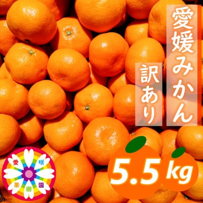 「 愛媛 みかん 」 訳あり 約5.5kg《 愛咲果樹園 》【71-68】