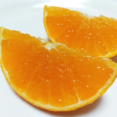 愛咲果樹園「まどんな」訳あり 約5.5kg【71-65】