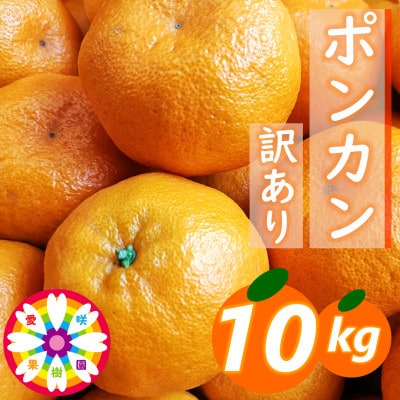 愛咲果樹園「ポンカン」訳あり 約10kg【71-62】
