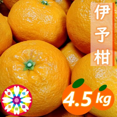 愛咲果樹園「伊予柑」約4.5kg【71-60】