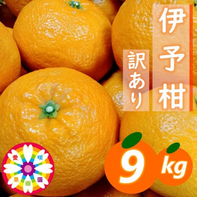 愛咲果樹園「伊予柑」訳あり 約9kg【71-72】
