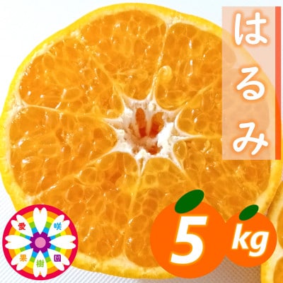 愛咲果樹園「はるみ」約5kg【71-52】