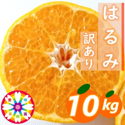 愛咲果樹園「はるみ」訳あり 約10kg【71-51】