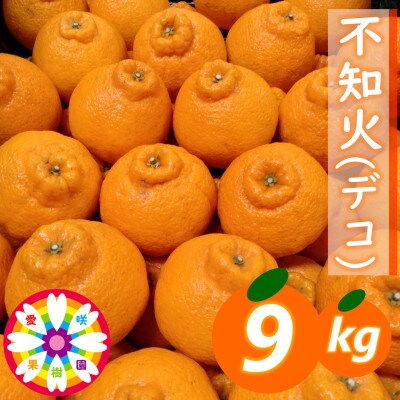 愛咲果樹園「不知火 ( デコ )」約9kg【71-59】