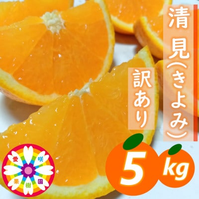 愛咲果樹園「清見」訳あり 約5kg【71-50】