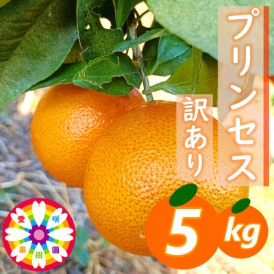 愛咲果樹園「プリンセス(愛果48号)」 紅プリンセスと同品種 訳あり 約5kg【71-49】