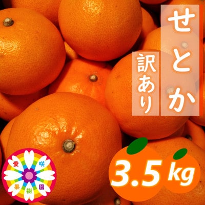 愛咲果樹園「せとか」訳あり約3.5kg【71-43】