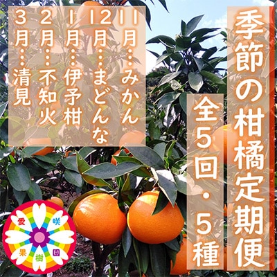 【発送月固定定期便】愛咲果樹園「季節の柑橘定期便」(11月～3月)全5回【F71-21】