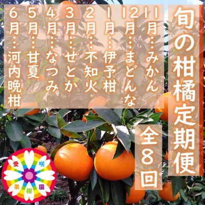 【発送月固定定期便】愛咲果樹園「旬の柑橘定期便」(11月～6月)【H71-34】全8回