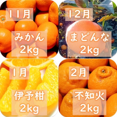【発送月固定定期便】愛咲果樹園「旬の柑橘定期便」(11月～6月)【H71-34】全8回