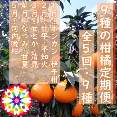 【発送月固定定期便】愛咲果樹園「9種の柑橘定期便」(1月～5月)【71-77】全5回