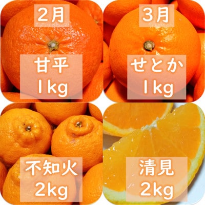 【発送月固定定期便】愛咲果樹園「9種の柑橘定期便」(1月～5月)【71-77】全5回