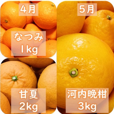 【発送月固定定期便】愛咲果樹園「9種の柑橘定期便」(1月～5月)【71-77】全5回