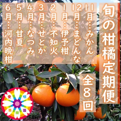 【発送月固定定期便】愛咲果樹園「旬の柑橘定期便」(11月～6月)【71-78】全8回