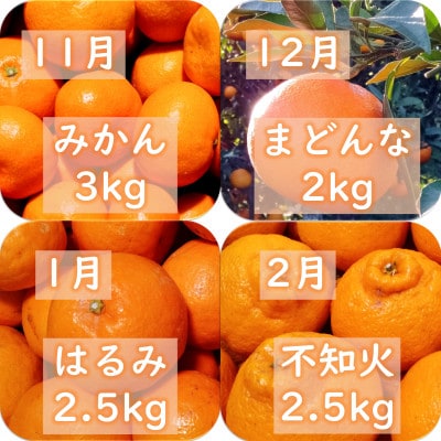 【発送月固定定期便】愛咲果樹園「旬の柑橘定期便」(11月～6月)【71-78】全8回