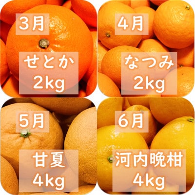 【発送月固定定期便】愛咲果樹園「旬の柑橘定期便」(11月～6月)【71-78】全8回