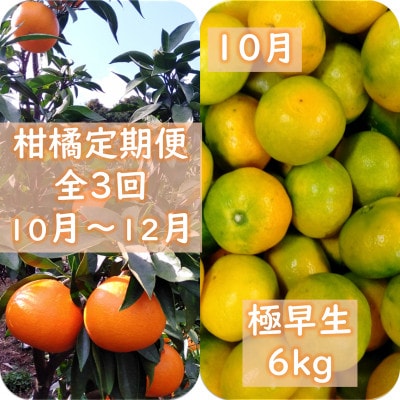【発送月固定定期便】愛咲果樹園「みかん定期便」(10月～12月)【71-74】全3回