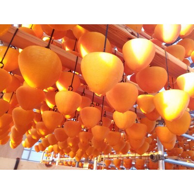 “ 丸京農園 だけの逸品”美しい粉雪の「 干し富士柿 」( 家庭用 )12個【C72-3】