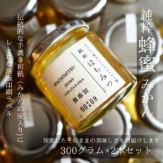 純粋はちみつ【みかん蜂蜜】300g&times;2本セット【C74-1】