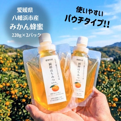 純粋はちみつ【みかん蜂蜜】220g×2パック(パウチタイプ)【74-2】