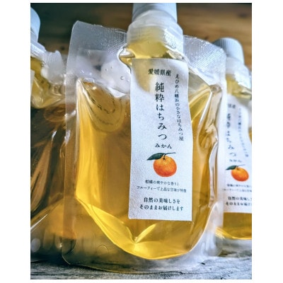 純粋はちみつ【みかん蜂蜜】220g×2パック(パウチタイプ)【74-2】