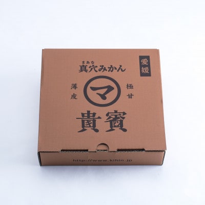 真穴みかん【貴賓】特級(14個入×2箱)【G44-1】