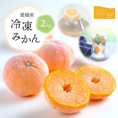 旬のみかんをまるごと冷凍!皮つき冷凍みかん 2kg【C25-105】