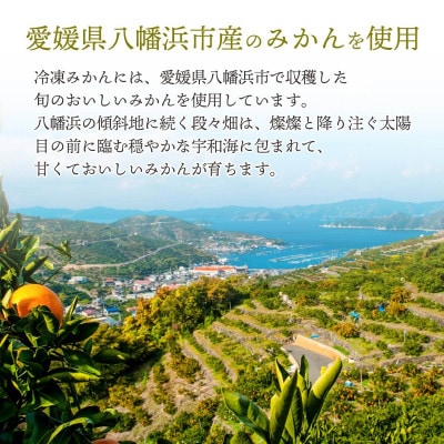 【愛媛産】シロップ・化学薬品不使用!外皮なし むき冷凍みかん3kg【F25-243】