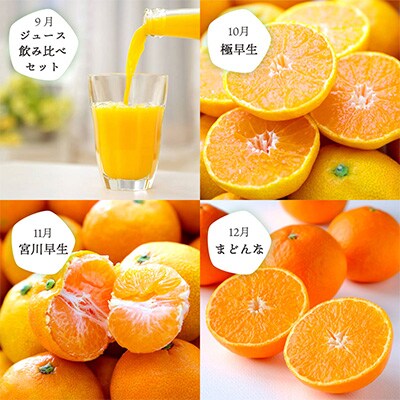 【発送月固定定期便】愛媛の人気品種を厳選!ミヤモトオレンジガーデンのみかん定期便(訳あり)全12回