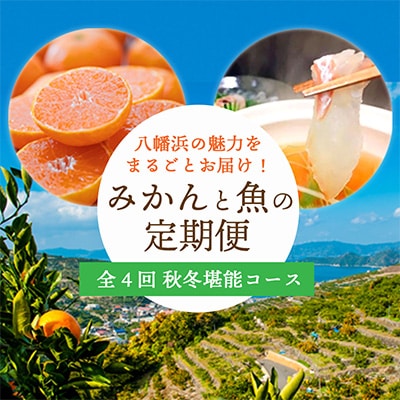 【発送月固定定期便】みかんと魚の定期便～八幡浜の秋冬堪能コース全4回【H25-88】