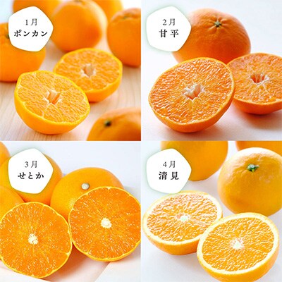 【発送月固定定期便】愛媛の人気品種を厳選! みかん定期便(秀品) 全12回【H25-150】