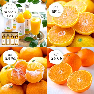 【発送月固定定期便】愛媛の人気品種を厳選! みかん定期便(秀品) 全12回【H25-150】